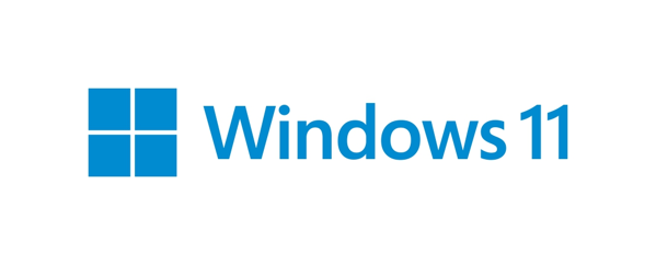 MICROSOFT Windows Home 11, 64bit, English, DSP